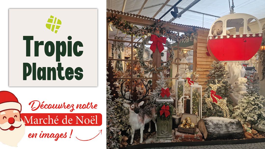 Magasin JARDINERIE TROPIC PLANTES - Caveirac (30820) Visuel 1