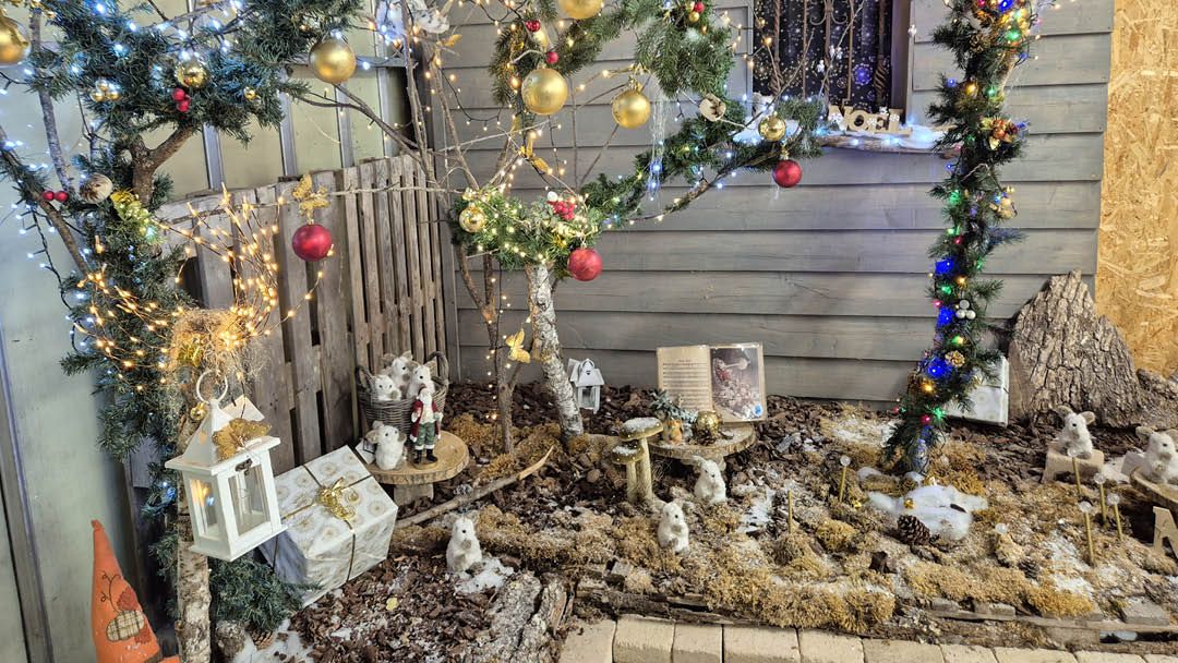 Magasin LES SERRES LANSON - Jargeau (45150) Visuel 2