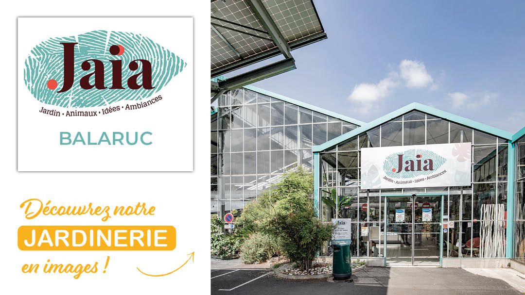 Magasin JARDINERIE JAIA BALARUC - Balaruc-le-Vieux (34540) Visuel 1