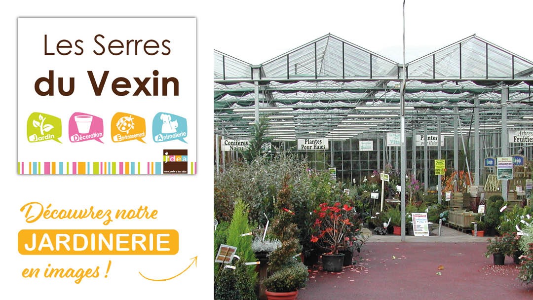Magasin LES SERRES DU VEXIN - S.A.S - Sagy (95450) Visuel 1