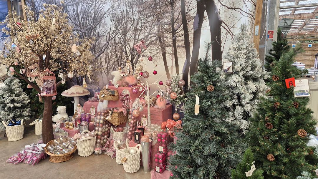 Magasin JARDINERIE DU CAP VERT - Gonneville-sur-Mer (14510) Visuel 5