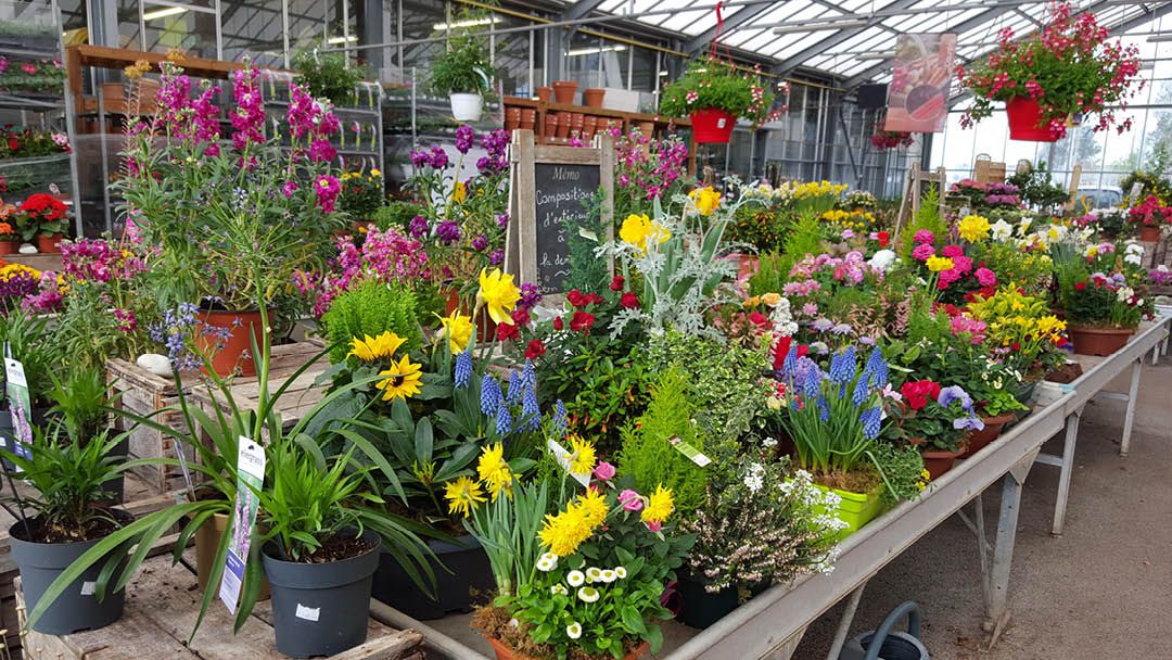 Magasin JARDINERIE BARON - Joigny (89300) Visuel 3