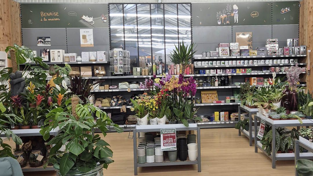 Magasin JARDINERIE SCAEL - Ligné (44850) Visuel 4