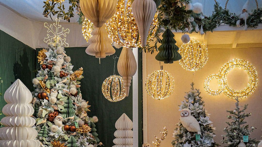 Magasin JARDINERIE JAIA BALARUC - Balaruc-le-Vieux (34540) Visuel 3