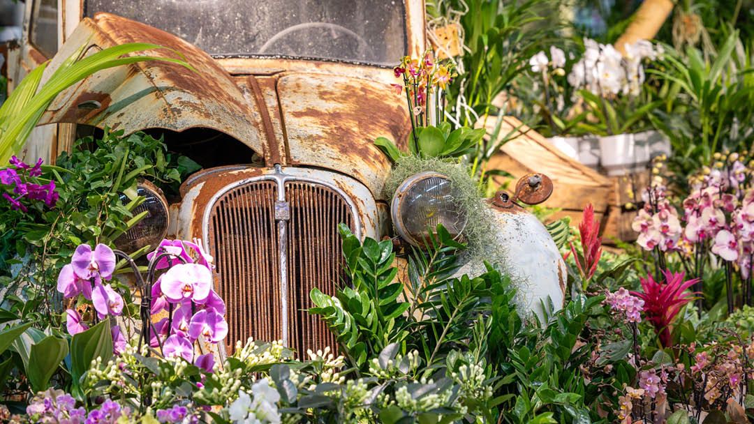 Magasin JARDINERIE JARDIN DECOR - Gétigné (44190) Visuel 2