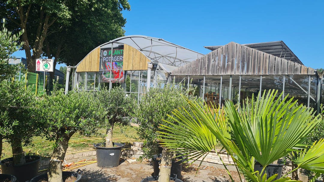 Magasin JARDINERIE LECERRE FLEURS - Beauvais (60000) Visuel 6