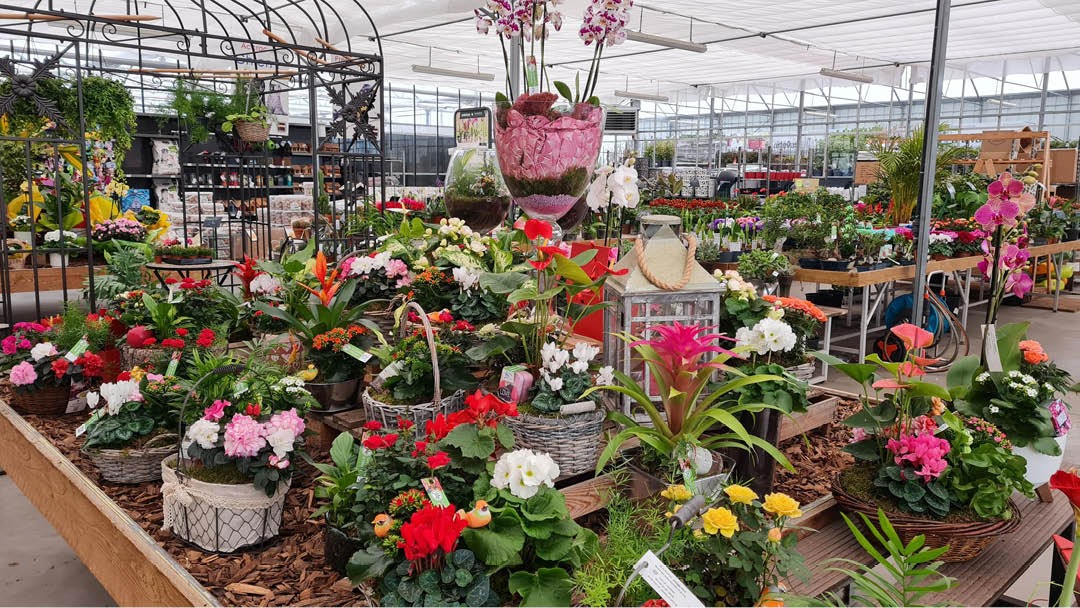 Magasin LES JARDINS D'OLIVIER - Bresles (60510) Visuel 3