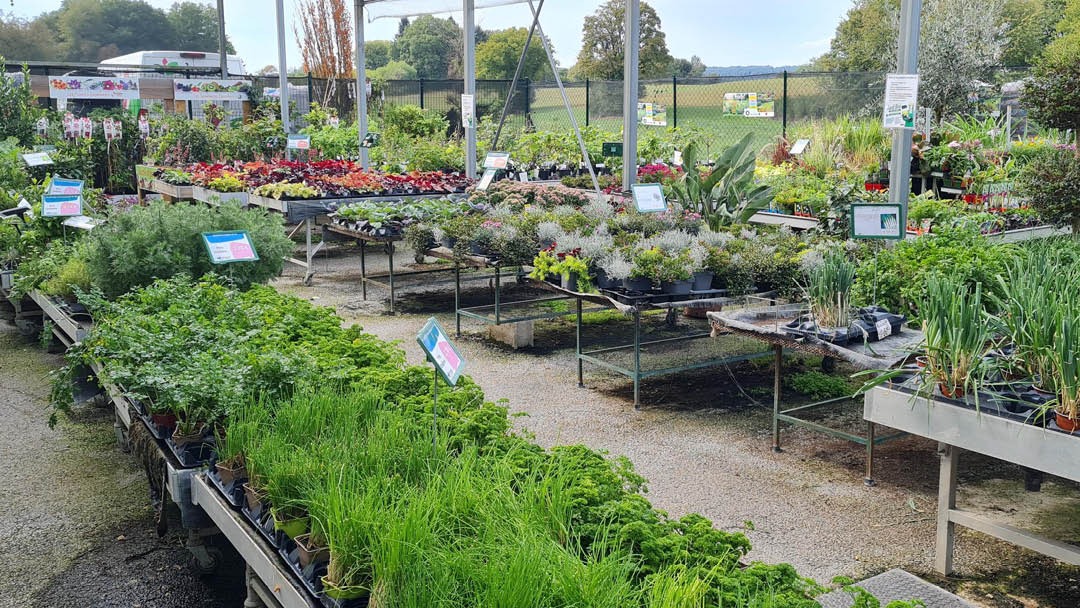 Magasin LES SERRES DREZET BETHONCOURT - Bethoncourt (25200) Visuel 6