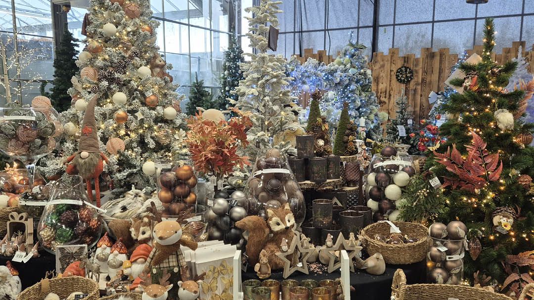 Magasin JARDIN DES SAULES  - Saint Just (27950) Visuel 4