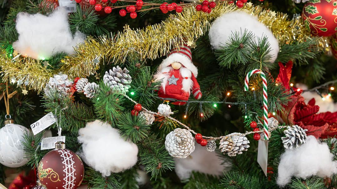 Magasin JARDINERIE JARDIN DECOR - Gétigné (44190) Visuel 3