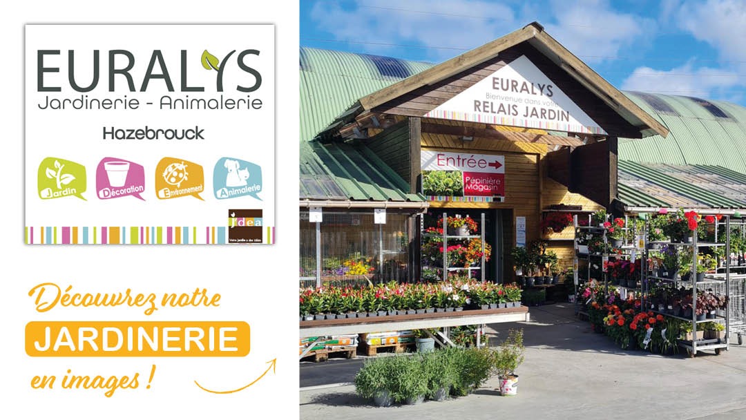 Magasin JARDINERIE EURALYS HAZEBROUCK - Hazebrouck (59190) Visuel 1