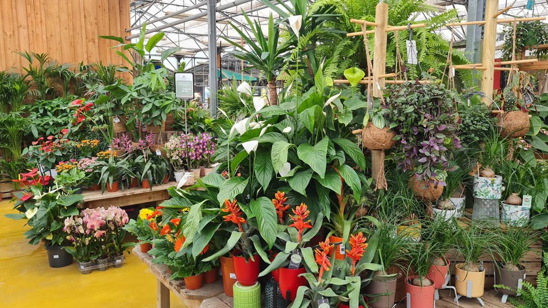 Magasin JARDINERIE DU BOIS PARIS - Chartres (28630) Visuel 2