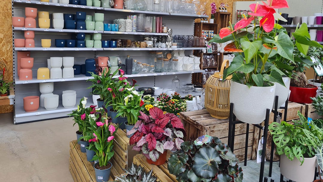 Magasin LES SERRES LANSON - Jargeau (45150) Visuel 2