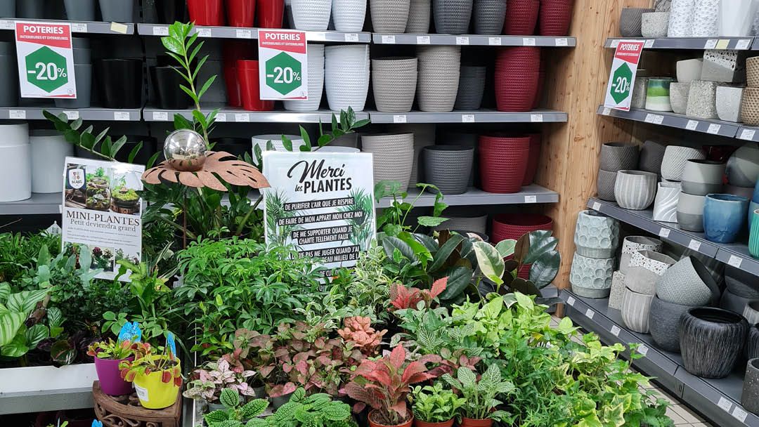 Magasin JARDINERIE SCAEL - Ligné (44850) Visuel 2