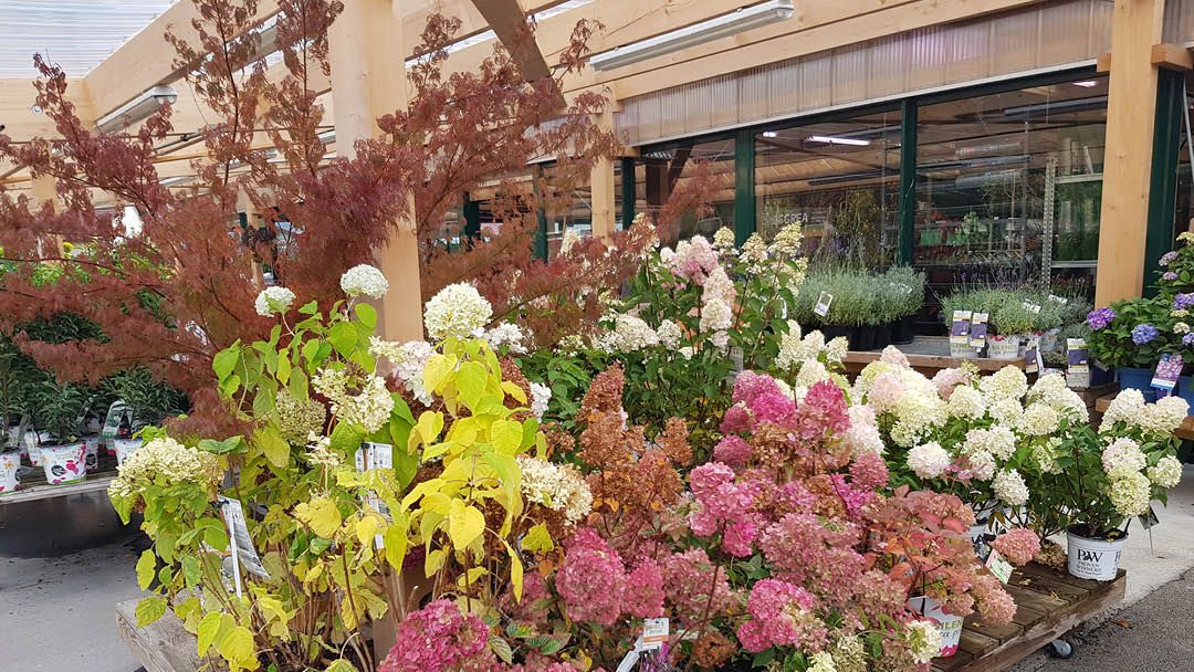 Magasin LES JARDINS COMTOIS SAS - Les Fins (25500) Visuel 6