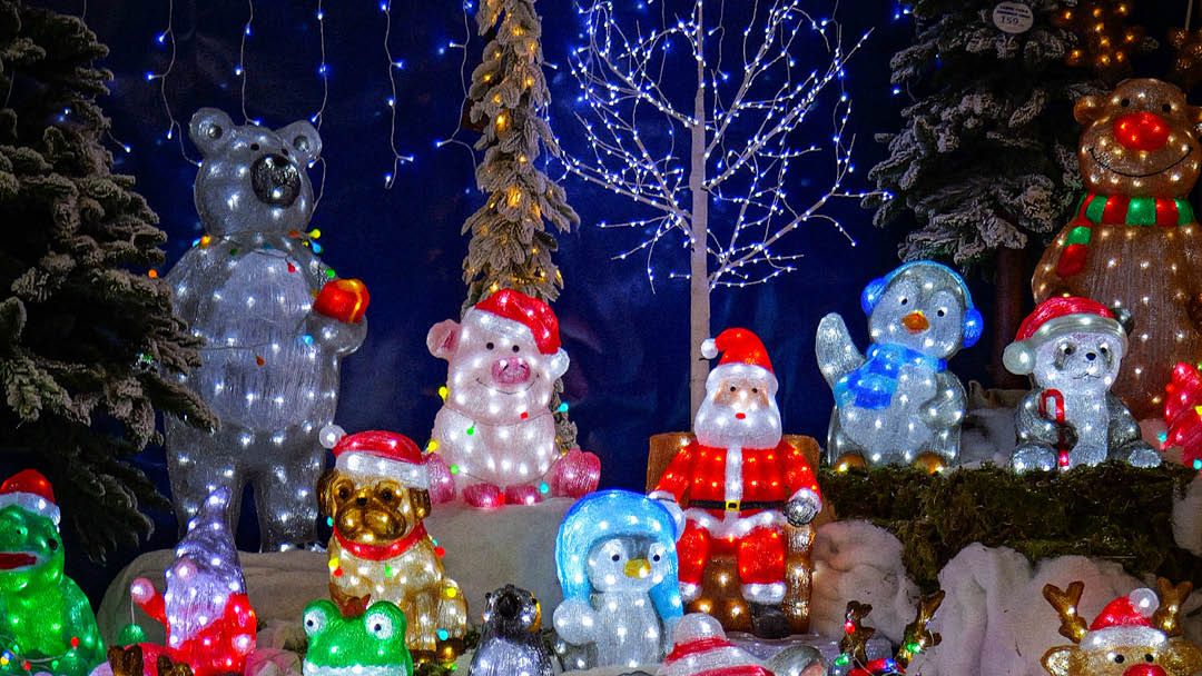 Magasin JARDINERIE JAIA BALARUC - Balaruc-le-Vieux (34540) Visuel 6