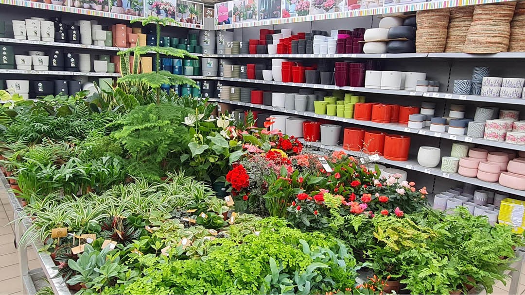 Magasin JARDINERIE LA SERRE THIONVILLE - Thionville (57100) Visuel 2