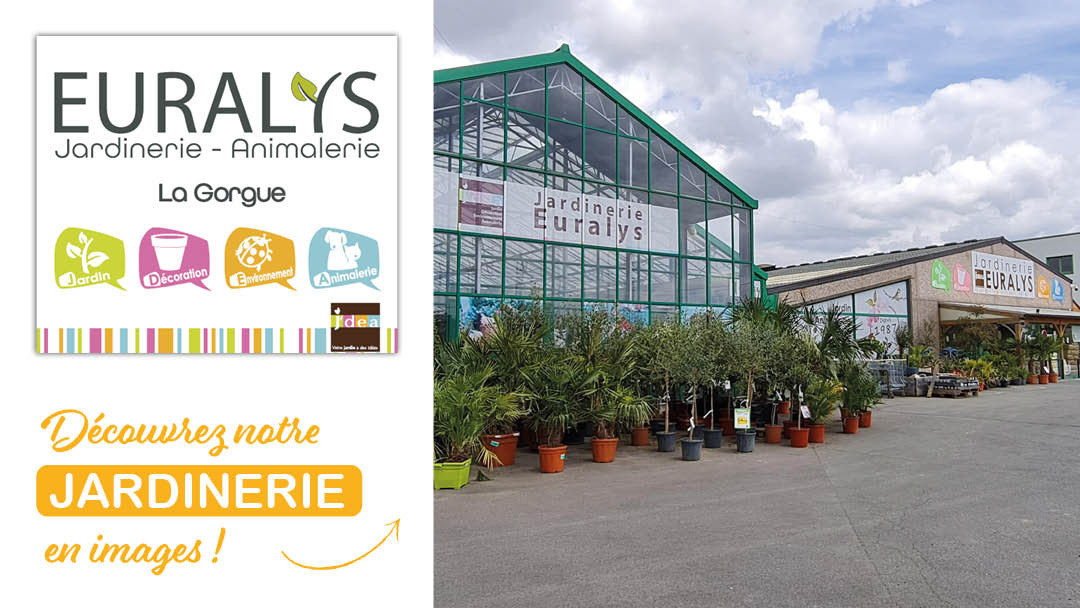 Magasin JARDINERIE EURALYS LA GORGUE - La Gorgue (59253) Visuel 1