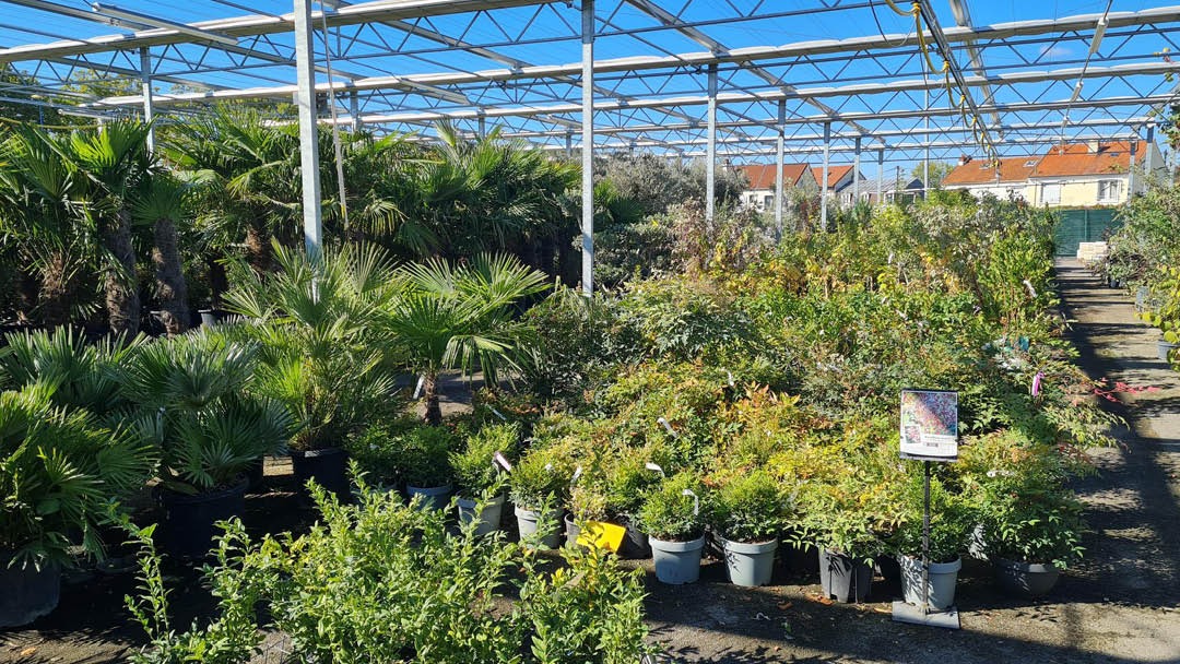 Magasin JARDINERIES D'ICI CHELLES - Chelles (77500) Visuel 6