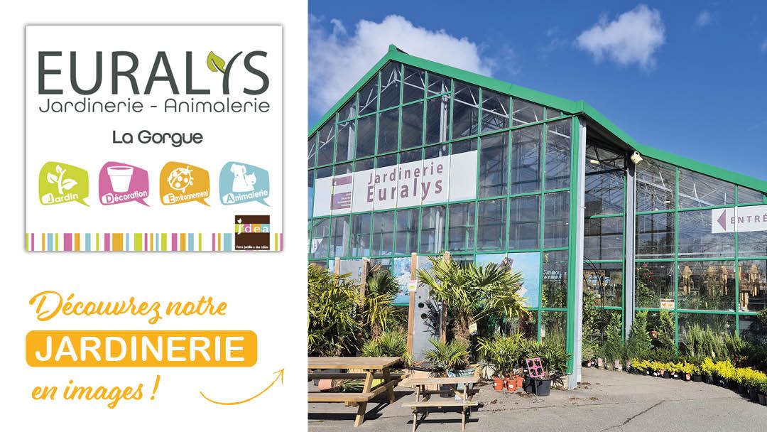 Magasin JARDINERIE EURALYS LA GORGUE - La Gorgue (59253) Visuel 1
