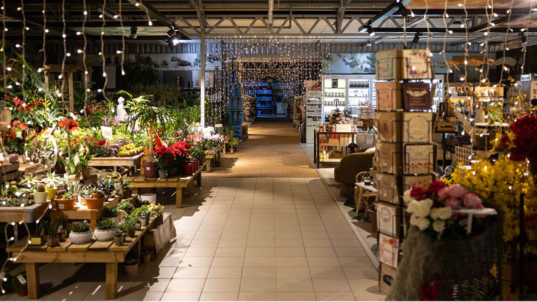 Magasin JARDINERIE JARDIN DECOR - Gétigné (44190) Visuel 5