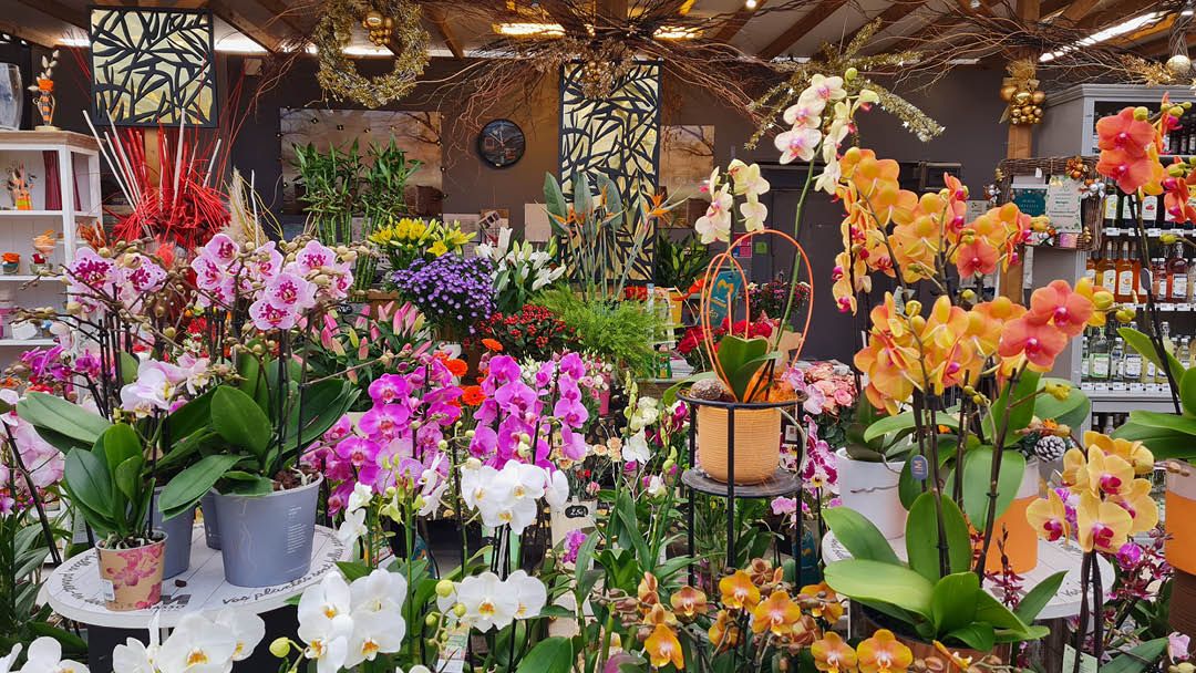 Magasin JARDINERIE BARON - Joigny (89300) Visuel 2