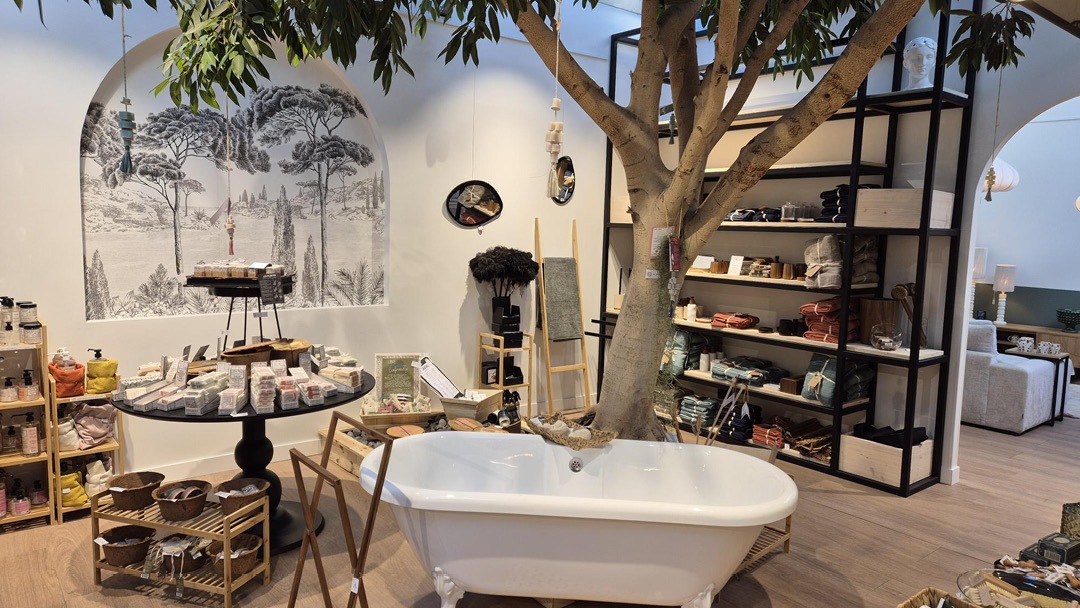 Magasin JARDINERIE JARDI PLUS  - Theix (56450) Visuel 4