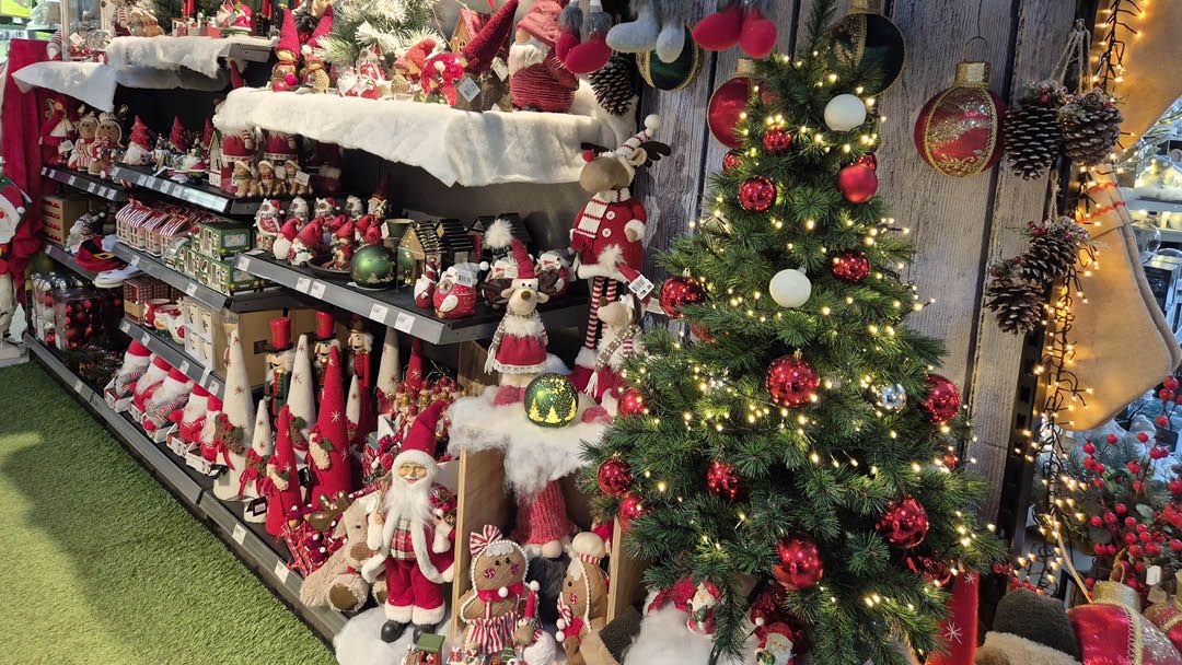 Magasin JARDINERIE DU MESNIL - Le Mesnil-Saint-Denis (78320) Visuel 3