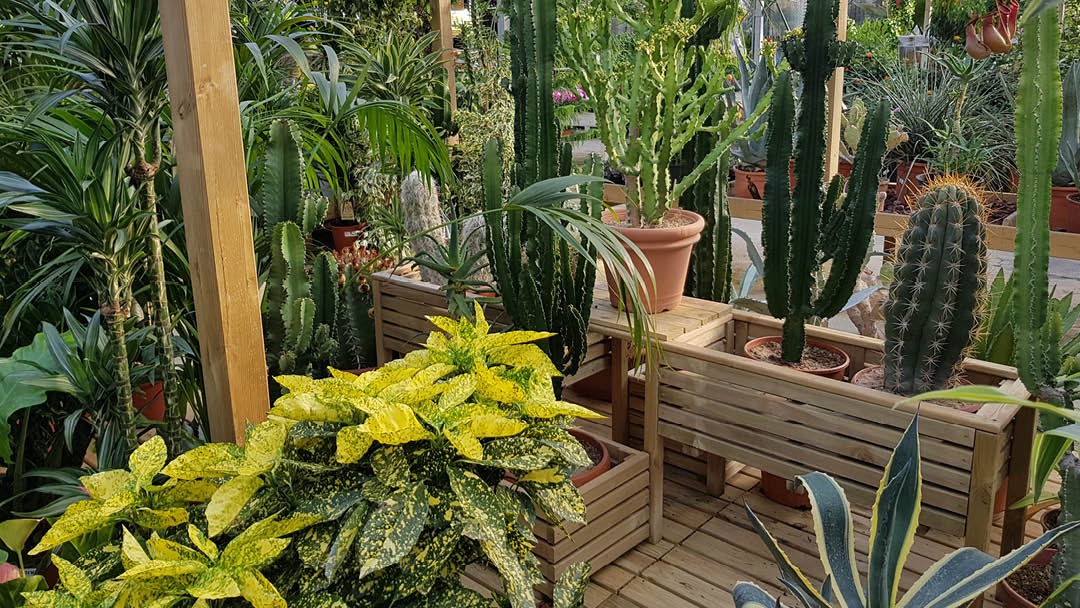 Magasin JARDINERIE TERRA VERDE - Montauroux (83440) Visuel 6