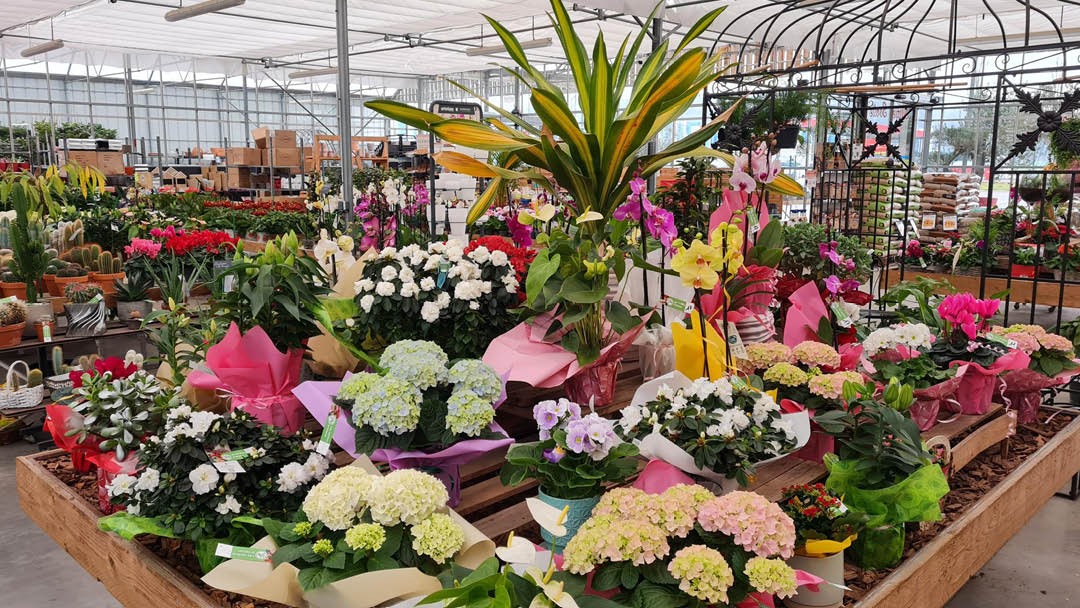 Magasin LES JARDINS D'OLIVIER - Bresles (60510) Visuel 2