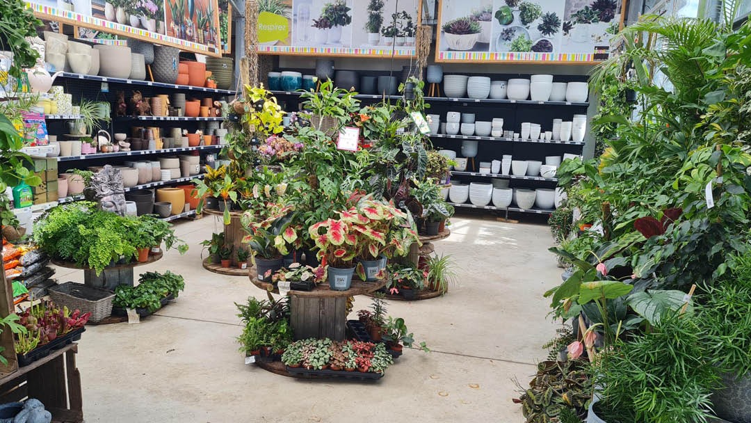 Magasin JARDINERIE EURALYS LA GORGUE - La Gorgue (59253) Visuel 2