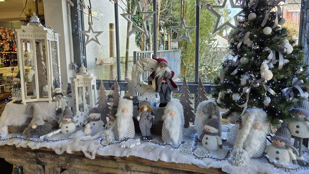 Magasin JARDINERIE DU MESNIL - Le Mesnil-Saint-Denis (78320) Visuel 2