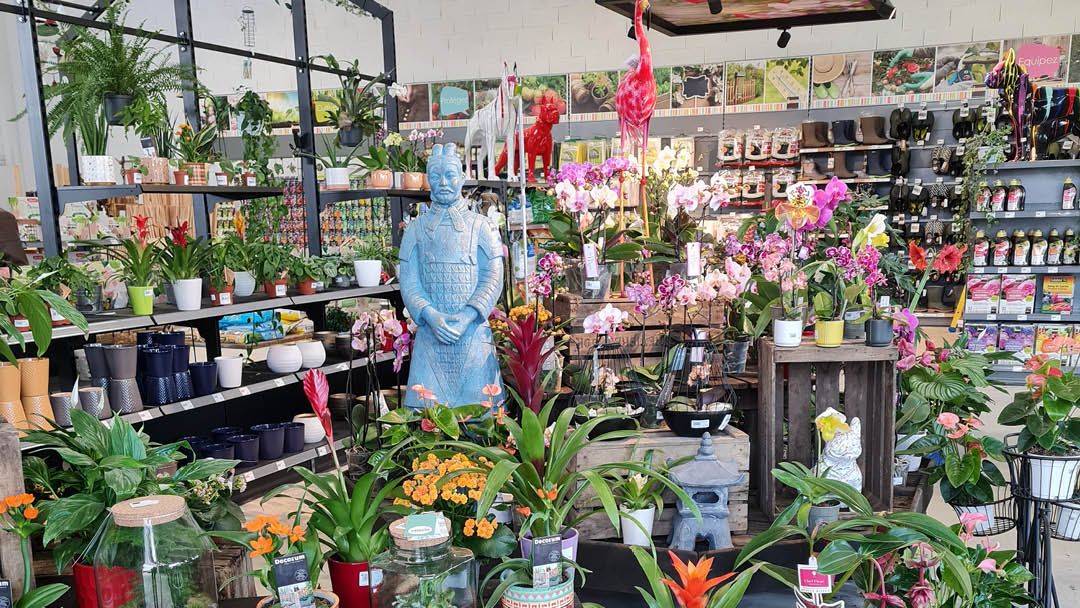 Magasin JARDINERIE LES JARDINS DE POIGNY  - Poigny (77160) Visuel 4