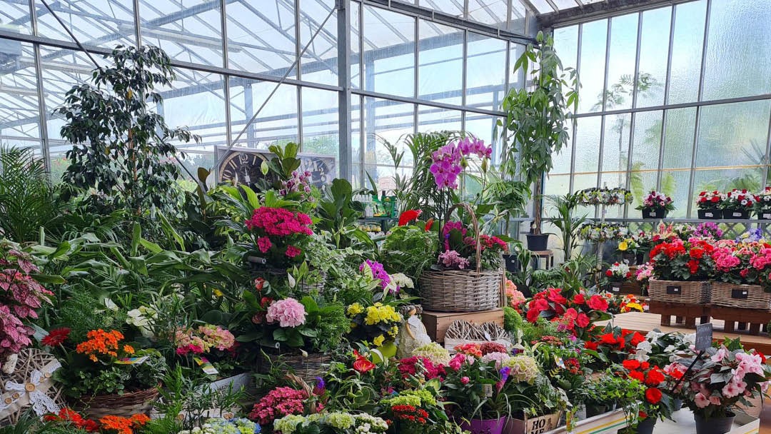 Magasin LES JARDINS DE FAREMOUTIERS  - Faremoutiers (77515) Visuel 3