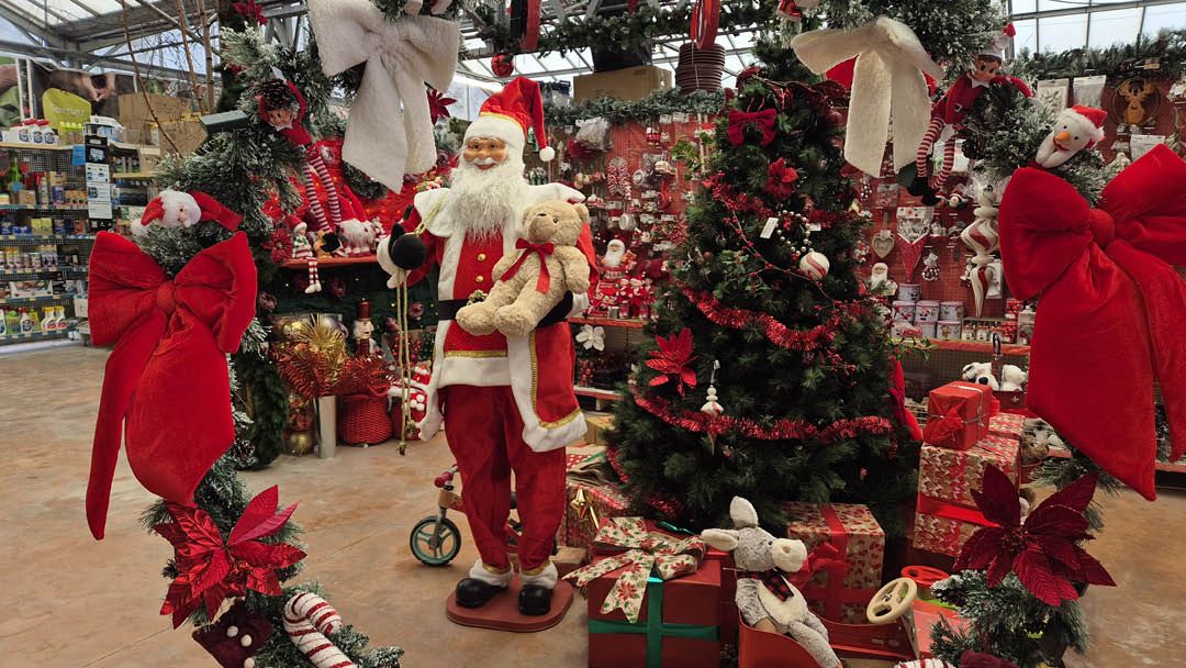 Magasin JARDINERIE DU CAP VERT - Gonneville-sur-Mer (14510) Visuel 3