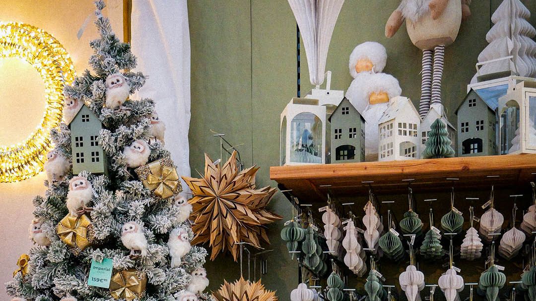 Magasin JARDINERIE JAIA BÉZIERS - Béziers (34500) Visuel 5