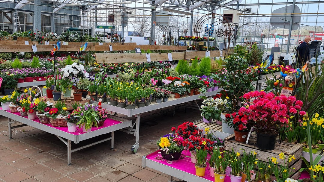 Magasin LES JARDINS DE MARYLINE - Laval (53000) Visuel 6