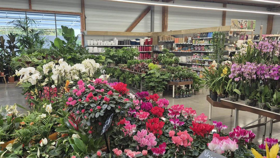 Magasin LES JARDINS DE FAREMOUTIERS  - Faremoutiers (77515) Visuel 5