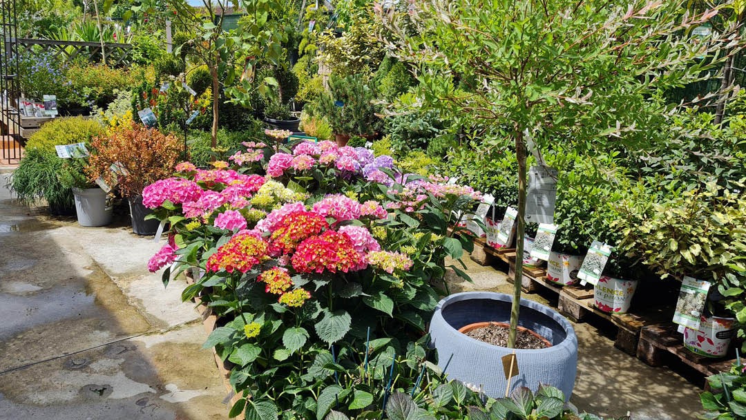 Magasin LES JARDINS DE FAREMOUTIERS  - Faremoutiers (77515) Visuel 6