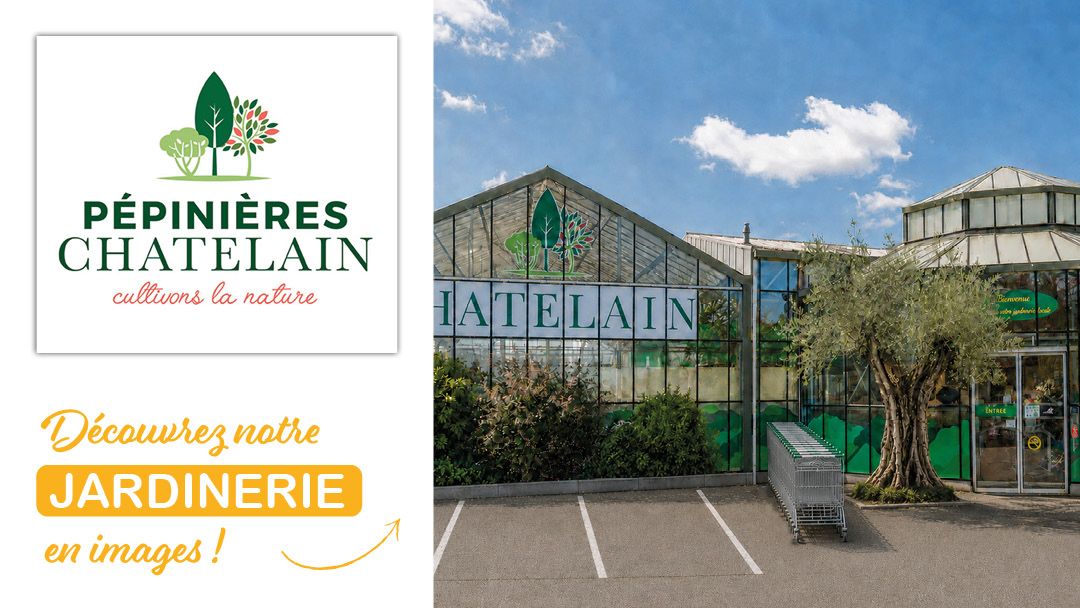 Magasin JARDINERIE DES PEPINIERES CHATELAIN - Le Thillay (95500) Visuel 1