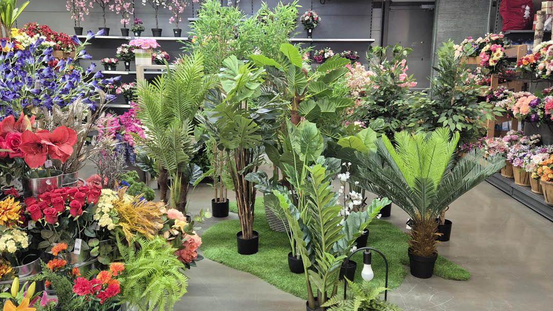 Magasin LES JARDINS DE LA COTIERE - Beynost (01700) Visuel 6