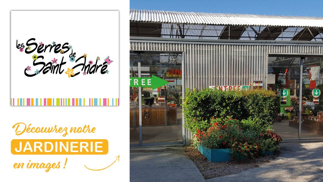 Magasin LES SERRES DE ST ANDRE - Saint-André-de-Sangonis (34725) Visuel 1