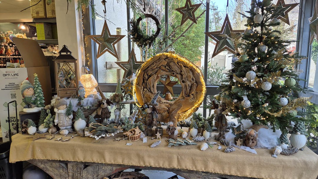 Magasin JARDINERIE DU MESNIL - Le Mesnil-Saint-Denis (78320) Visuel 4