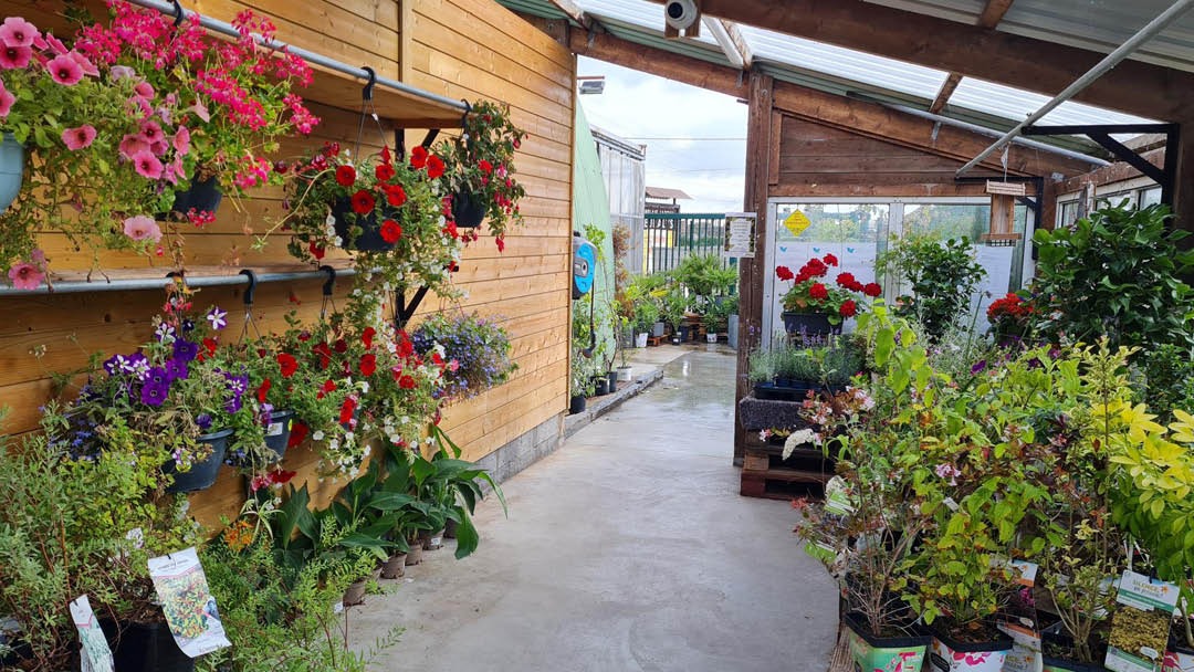 Magasin JARDINERIE EURALYS HAZEBROUCK - Hazebrouck (59190) Visuel 2