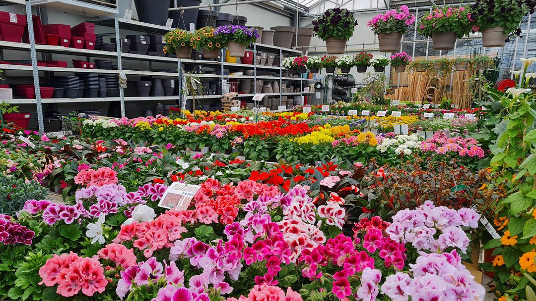 Magasin LES JARDINS DE BEAUNE - Beaune-la-Rolande (45340) Visuel 5