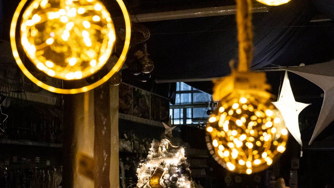 Magasin JARDINERIE JARDIN DECOR - Gétigné (44190) Visuel 6