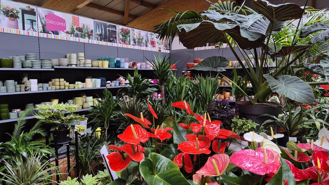 Magasin LES JARDINS COMTOIS SAS - Les Fins (25500) Visuel 2