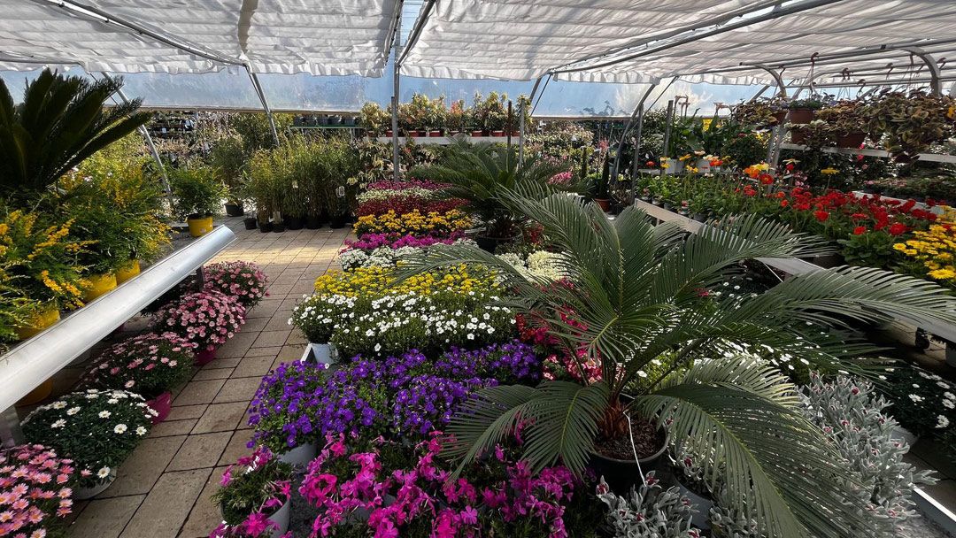 Magasin JARDINERIE DU CHÊNE - anthy-sur-leman (74200) Visuel 4