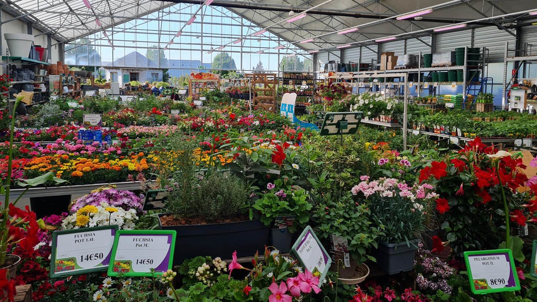 Magasin JARDINERIE ATLANTIC VERT REZE - Rezé (44400) Visuel 2