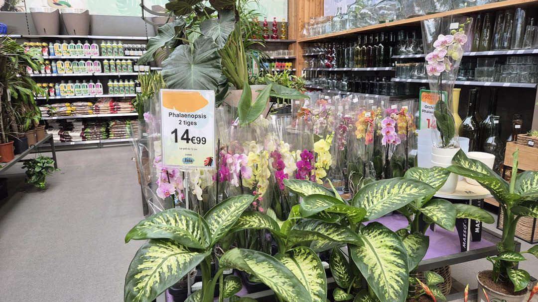 Magasin JARDINERIE JAIA BÉZIERS - Béziers (34500) Visuel 2